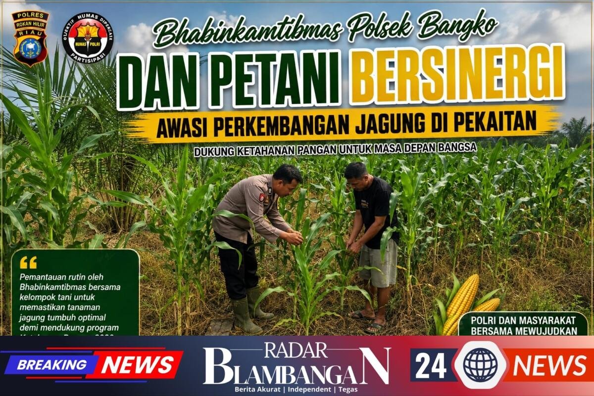 IMG-20260827-WA0122
