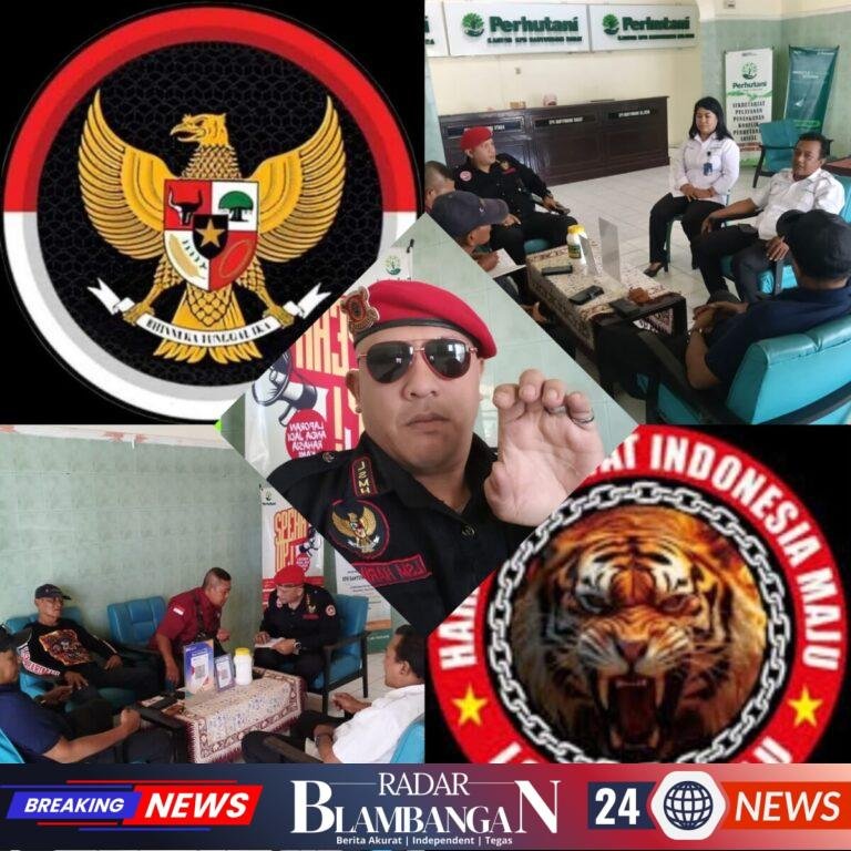 InCollage_20260825_080328497