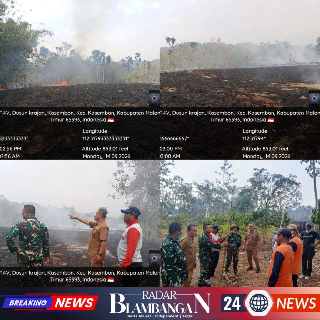 InCollage_20260914_205819921